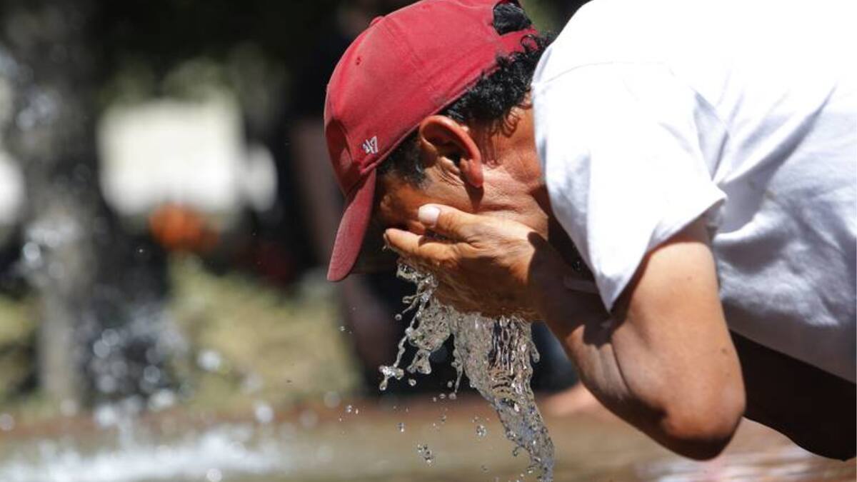 “Podríamos llegar a los 38 °C": Michelle Adam advierte altas temperaturas en tres regiones de Chile
