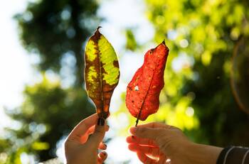 Meteoróloga Michelle Adam confirma el fin del clima de verano y el regreso de las bajas temperaturas en la zona central