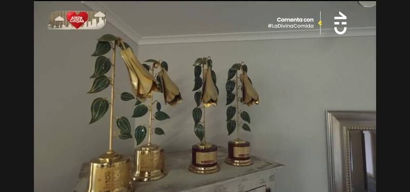 Los cuatro especiales premios que ganó el comunicador.