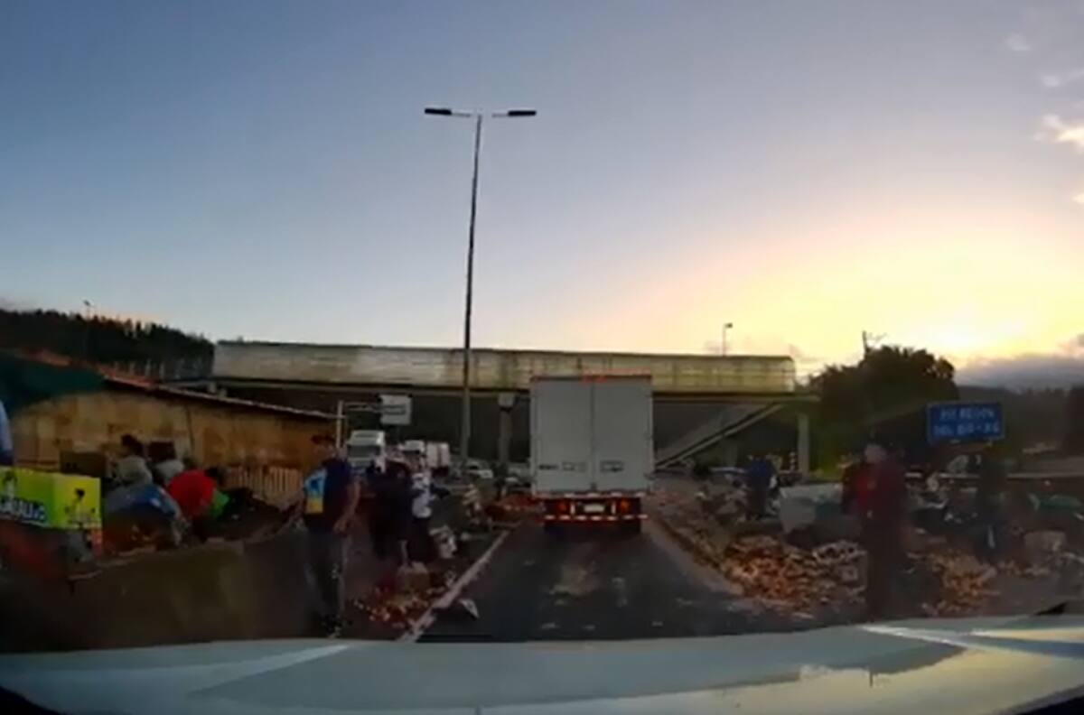 VIDEO | Camión lleno de frutas se vuelca en la Ruta 5 Sur