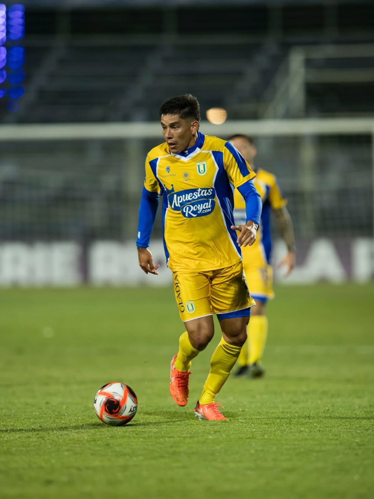 Foto. Universidad de Concepción