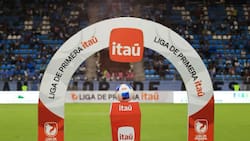 Atención: a partir de este día el Registro Nacional de Hinchas será obligatorio en el Campeonato Nacional