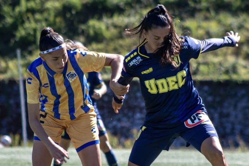 Universidad de Concepción igualó sin goles con Everton.