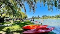 Este camping de ensueño es perfecto para ir con amigos y disfrutar del verano: Está en el corazón de la Región de O’Higgins