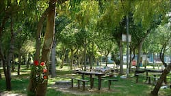 A casi una hora de Santiago: Este camping rodeado de naturaleza tiene una laguna perfecta para hacer kayak