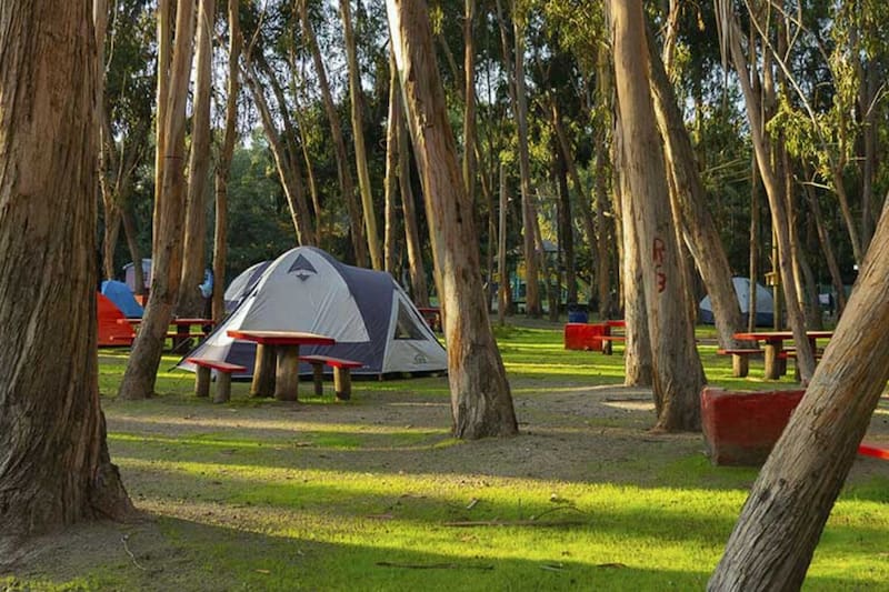 Tiene acceso directo a la playa, que es ideal para el baño.
Créditos: Camping Bahía Marina.