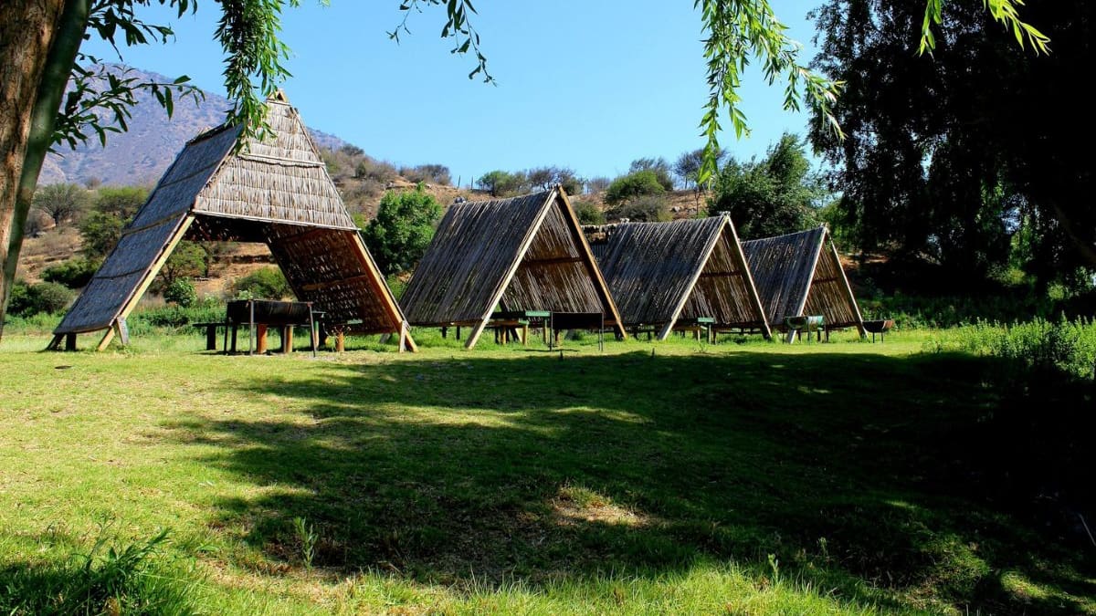 Una belleza en la Región de Valparaíso: Este camping ubicado al borde de un estero es ideal para refrescarse en primavera