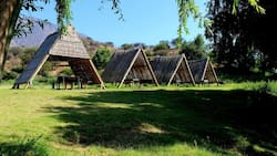 Una belleza en la Región de Valparaíso: Este camping ubicado al borde de un estero es ideal para refrescarse en primavera