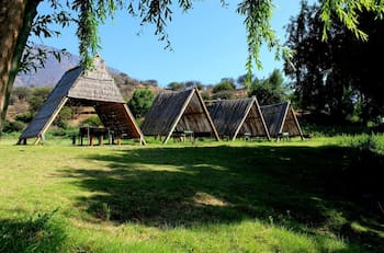 Una belleza en la Región de Valparaíso: Este camping ubicado al borde de un estero es ideal para refrescarse en primavera