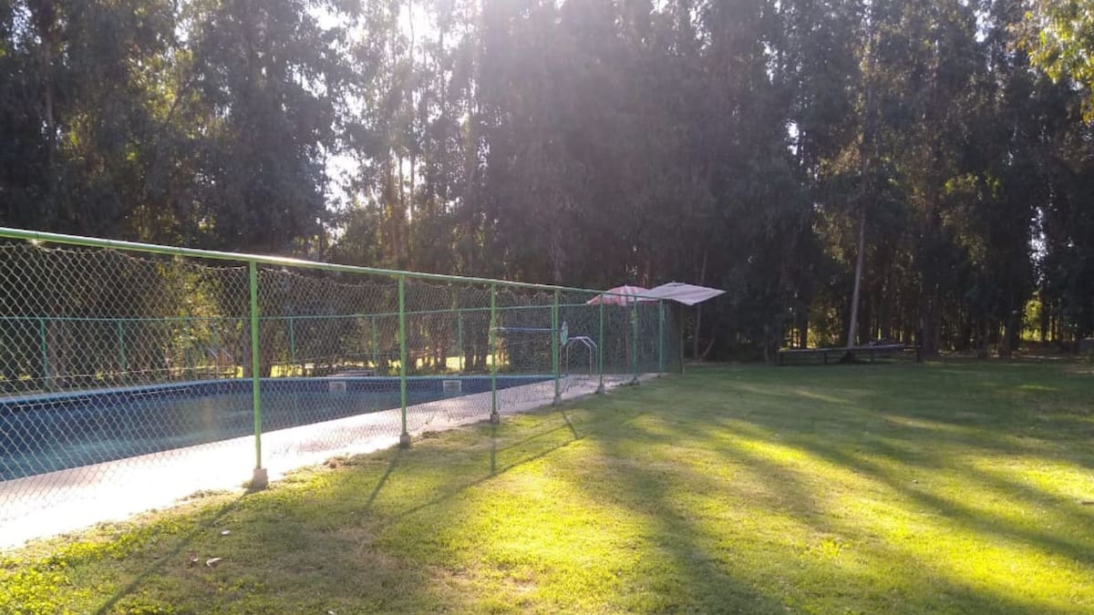 A menos de 1 hora de Santiago: Este camping inserto en un bosque de grandes eucaliptus es perfecto para visitar en verano
