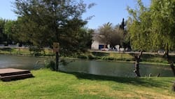A menos de 2 horas de Santiago: Este camping alberga una extensa laguna de agua clara y piscinas aptas para el baño
