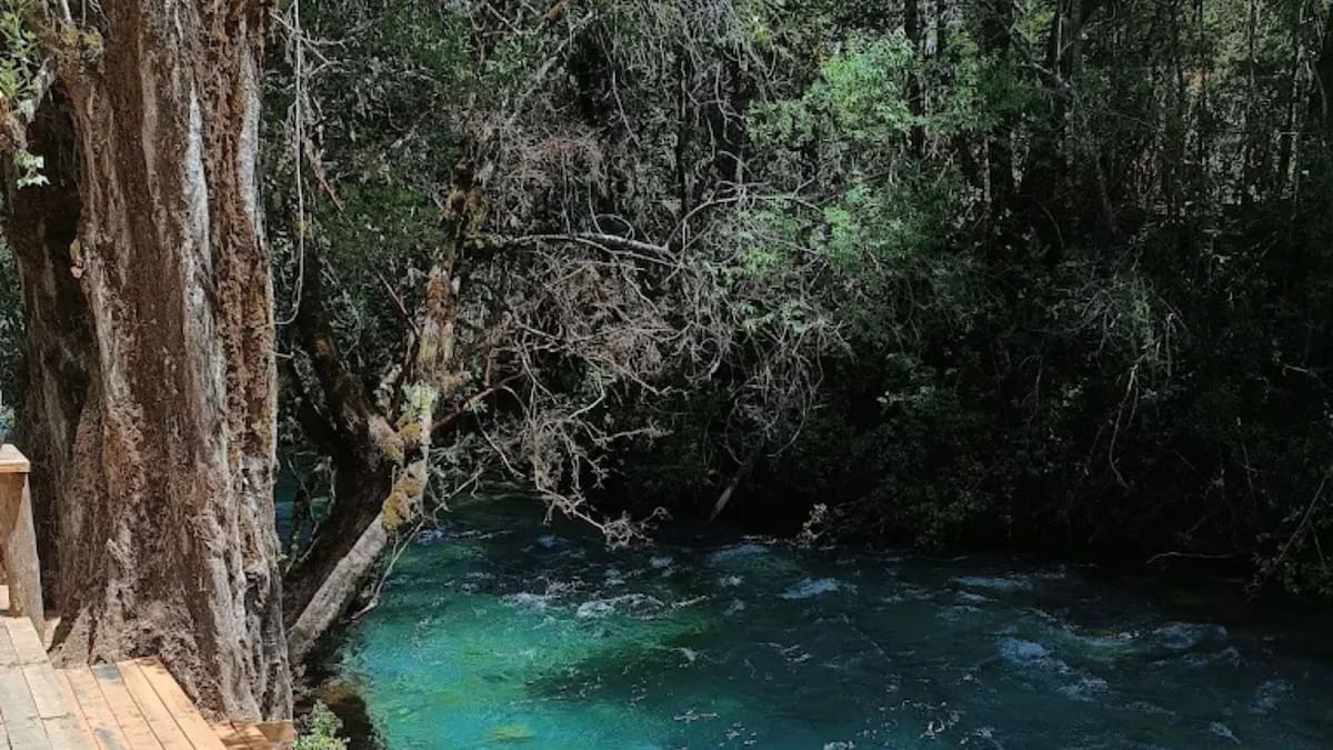 Este camping es una excelente opción para relajarse y descansar de la rutina: Cuenta con un pozón de agua cristalina