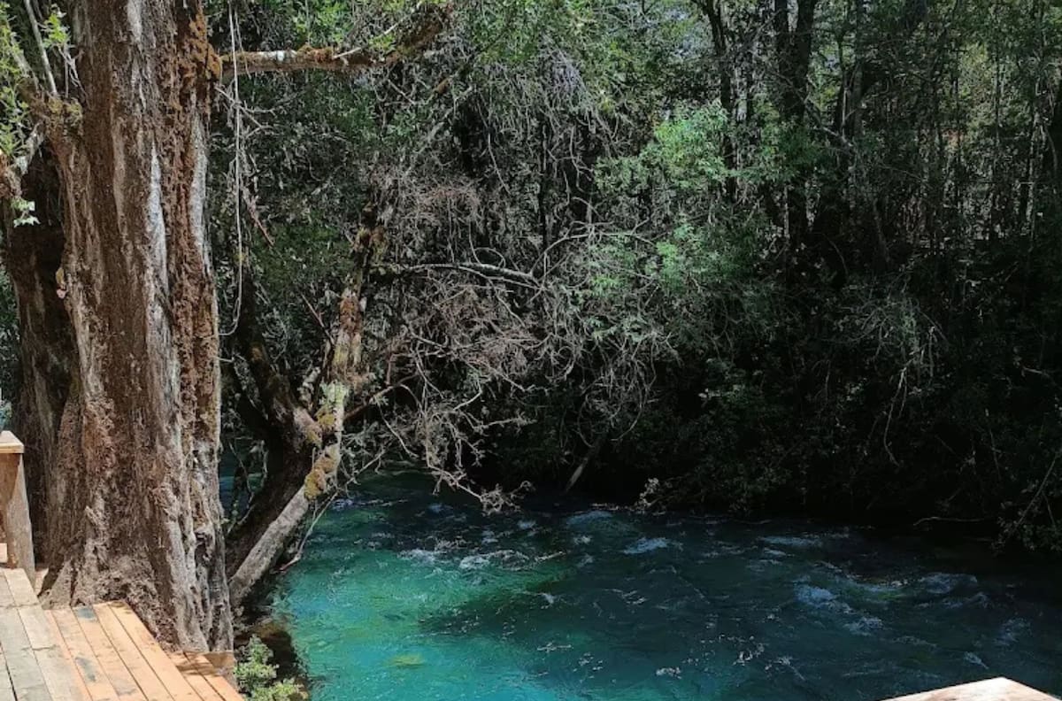 Este camping es una excelente opción para relajarse y descansar de la rutina: Cuenta con un pozón de agua cristalina