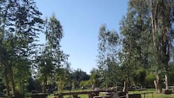 Este espectacular camping ubicado en Pirque es ideal para disfrutar del verano: Cuenta con áreas verdes y una piscina natural