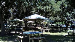 A 45 minutos de Santiago: Este espectacular camping natural es ideal para ir con la familia durante este verano