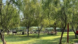 Un rincón oculto en las afueras de Santiago: El camping perfecto para visitar con niños en verano