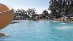 A casi 2 horas de Santiago: Este gran camping natural es ideal para capear el calor intenso