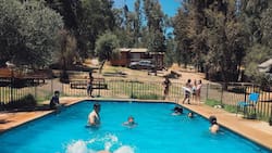 Este camping natural ubicado en Quintero es una excelente alternativa para visitar junto a toda la familia