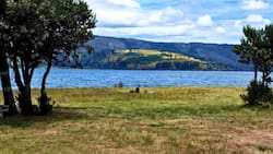 A menos de 3 horas de Concepción: Este camping con piscina es un imperdible para visitar los días más calurosos del año