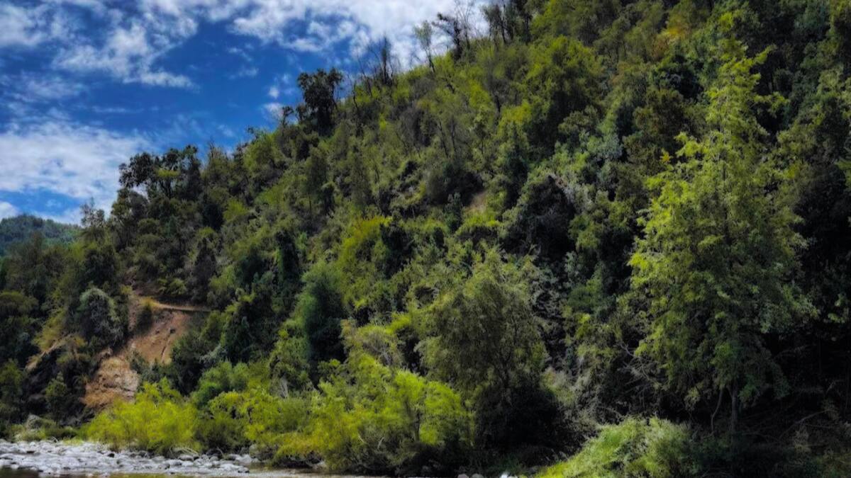 Panorama natural en la Región del Maule: Camping Monte Oscuro ofrece lo necesario para refrescar las vacaciones