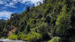 Panorama natural en la Región del Maule: Camping Monte Oscuro ofrece lo necesario para refrescar las vacaciones