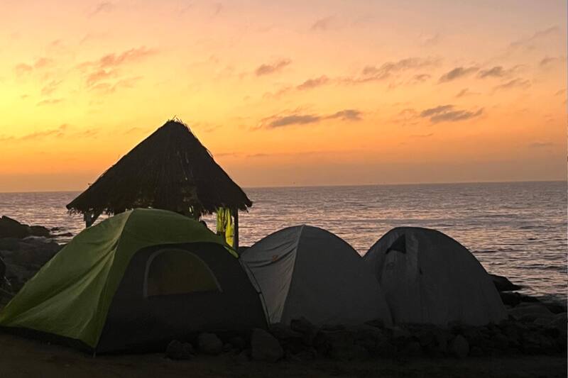 cuenta con una serie de servicios. Conoce cuáles son.