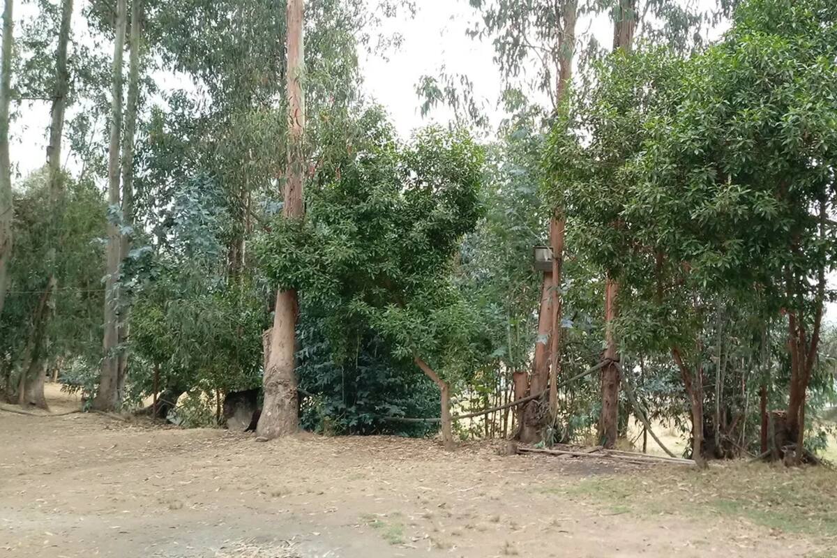 Está ubicado en Quintero, a dos horas del centro de Santiago.
Créditos: Google Maps.