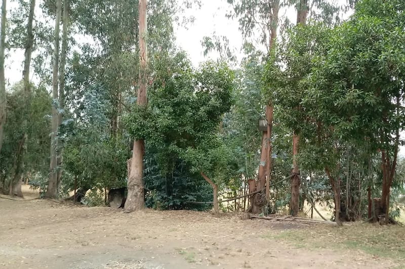 Está ubicado en Quintero, a dos horas del centro de Santiago.
Créditos: Google Maps.