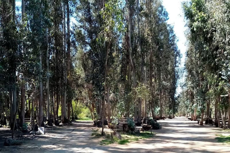 Está a solo 45 minutos de Santiago y actualmente funciona los viernes, sábados y domingos.
Créditos: Camping Valtyer.