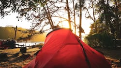 “Es un camping con las 3 B”: Por menos de $13.000 puedes disfrutar de un majestuoso lago ubicado a tres horas de Santiago
