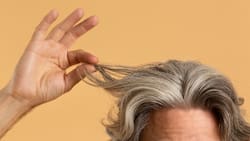 ¿Por qué no se deben arrancar las canas?