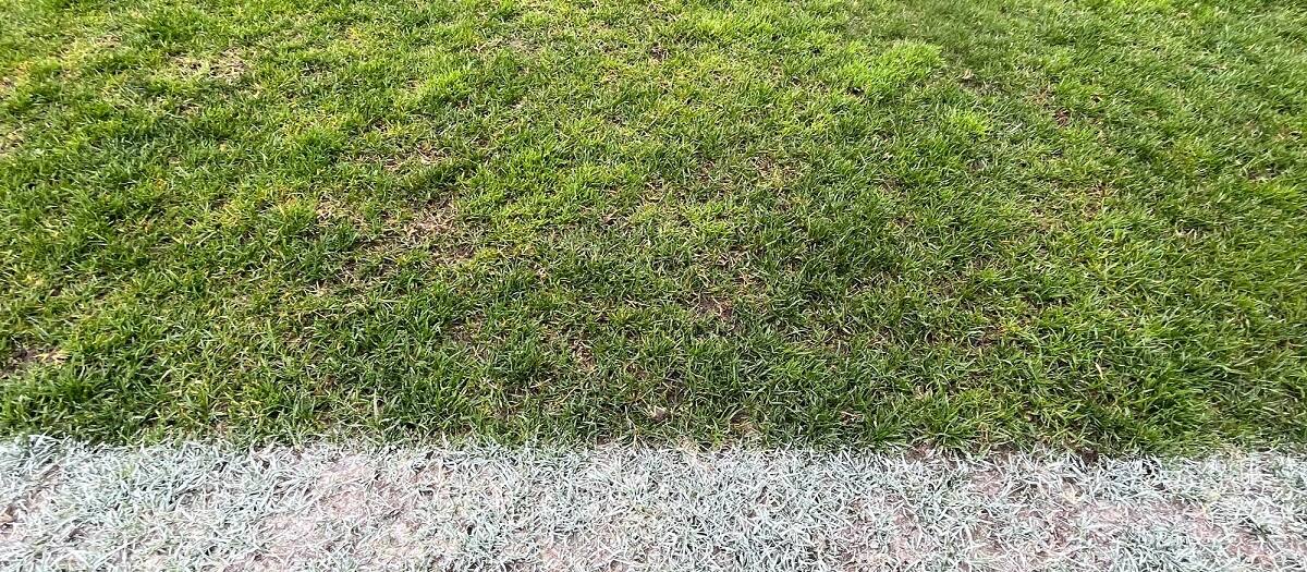 Cancha de fútbol