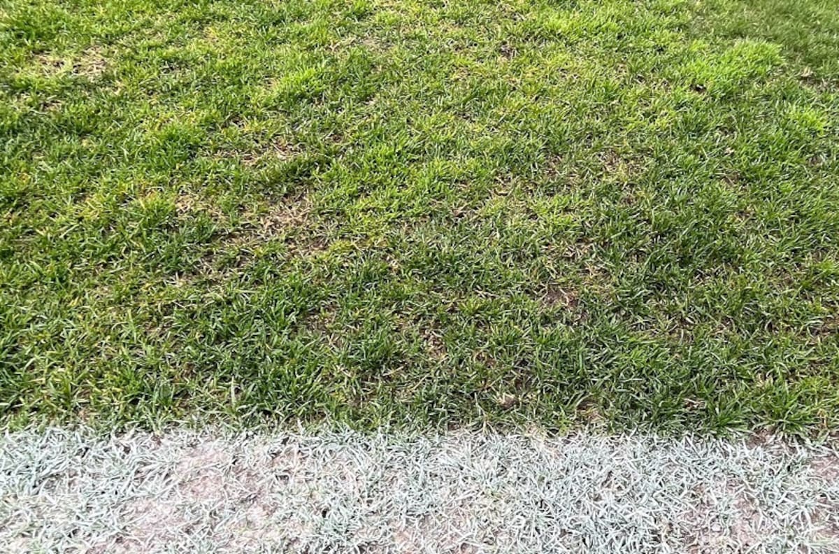VIDEO | ¿Aguantará la lluvia? Así está la cancha que recibirá partido final por Copa Chile