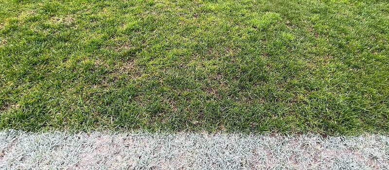 Cancha de fútbol