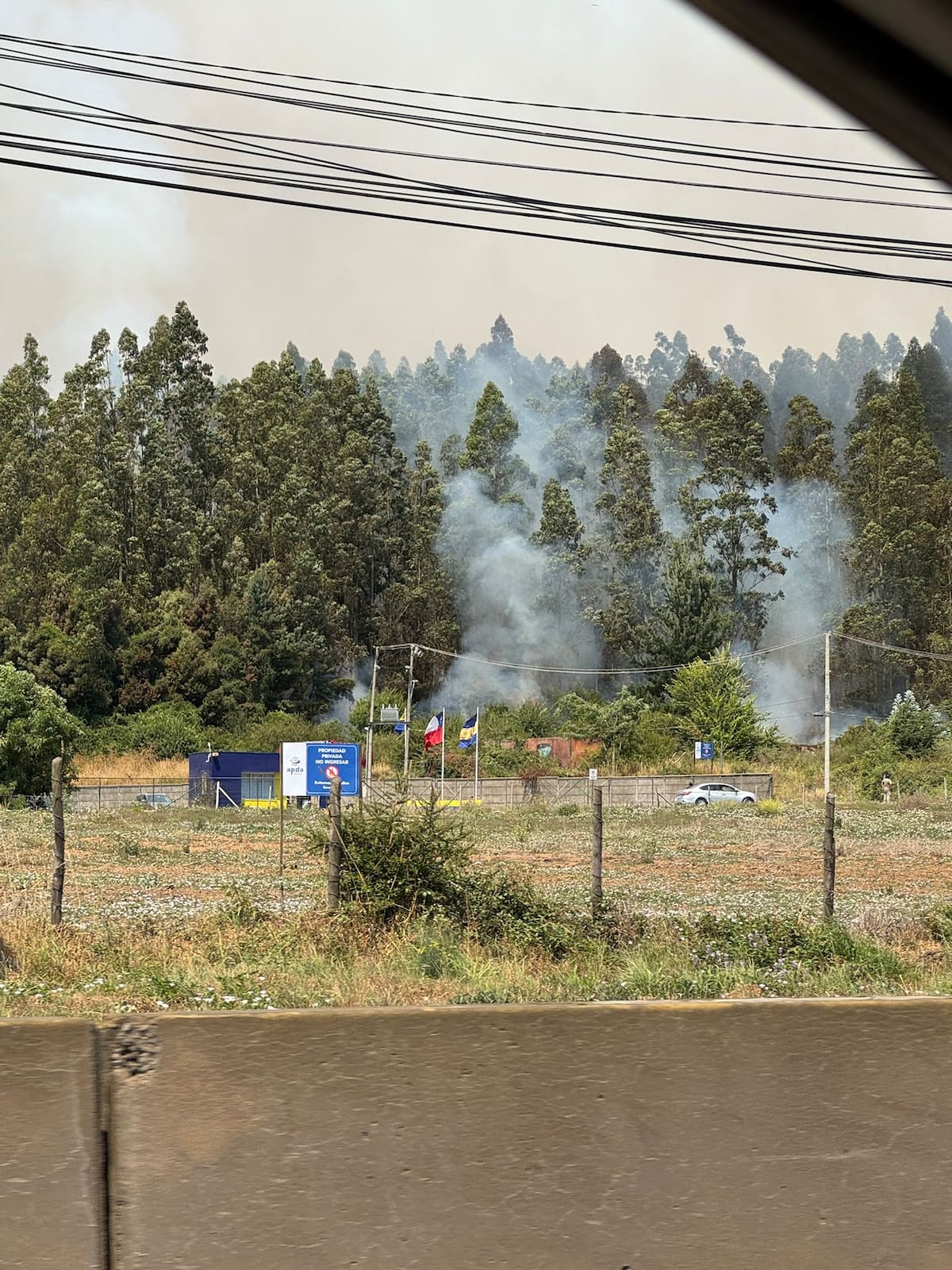Incendio se acerca al centro deportivo. Foto: Carlos Campos