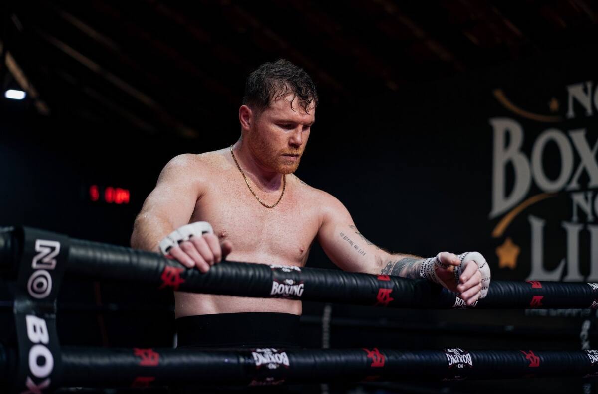 Importante exboxeador arremete con todo contra Canelo Álvarez y lo llama “viejo”