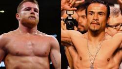 Canelo Álvarez asegura sentir lástima por Juan Manuel Márquez y lo llama “envidioso y podrido”