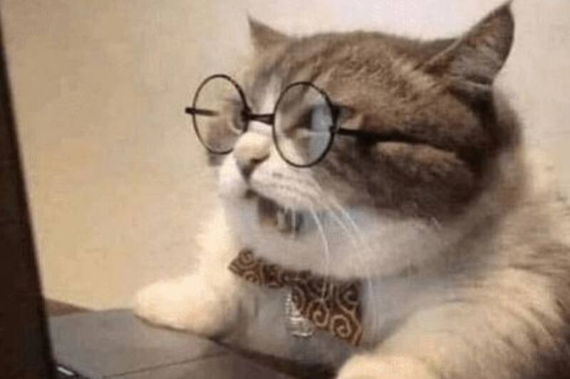 Capricornio es un signo de tierra que se caracteriza por ser alguien muy trabajólico y estudioso.