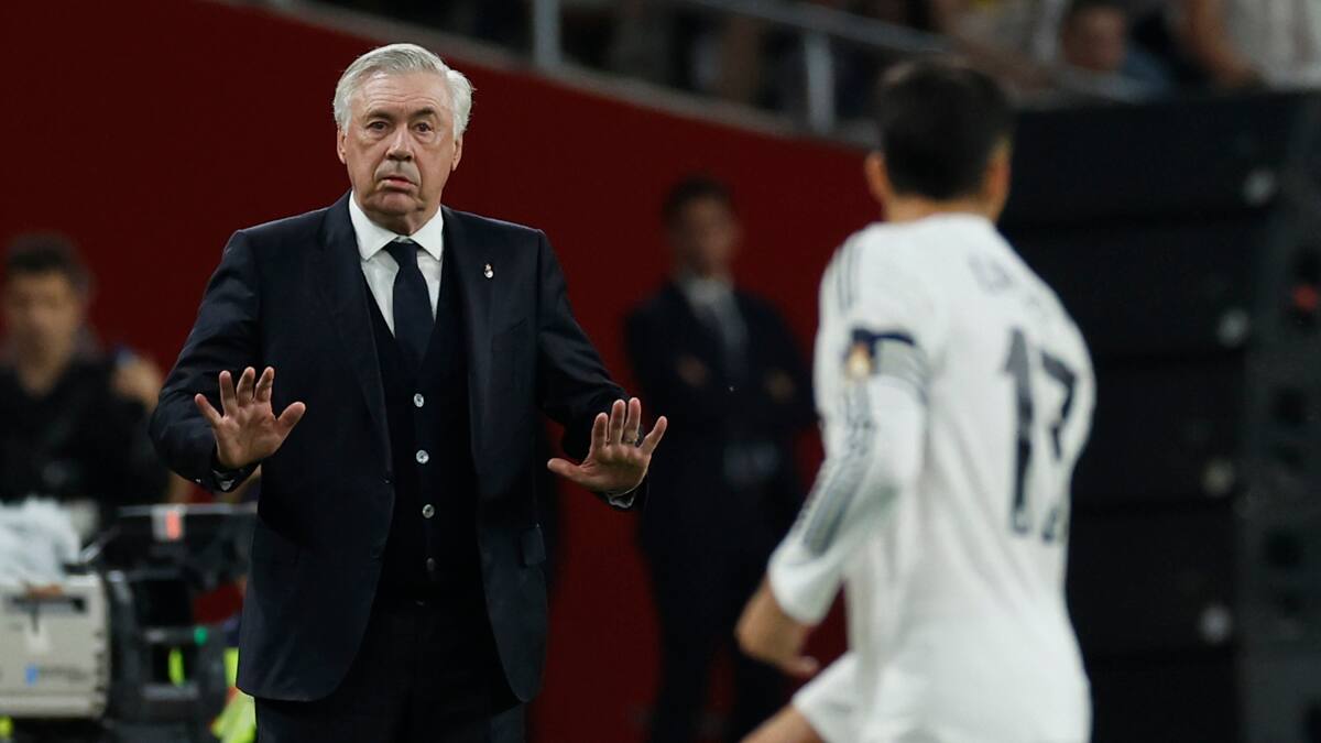 Brasil va con todo por Carlo Ancelotti: quiere convertirlo en el DT mejor pagado del mundo