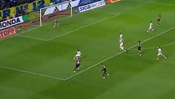 VIDEO | ¡Era golazo! El palo impidió la celebración de Carlos Palacios en Boca Juniors