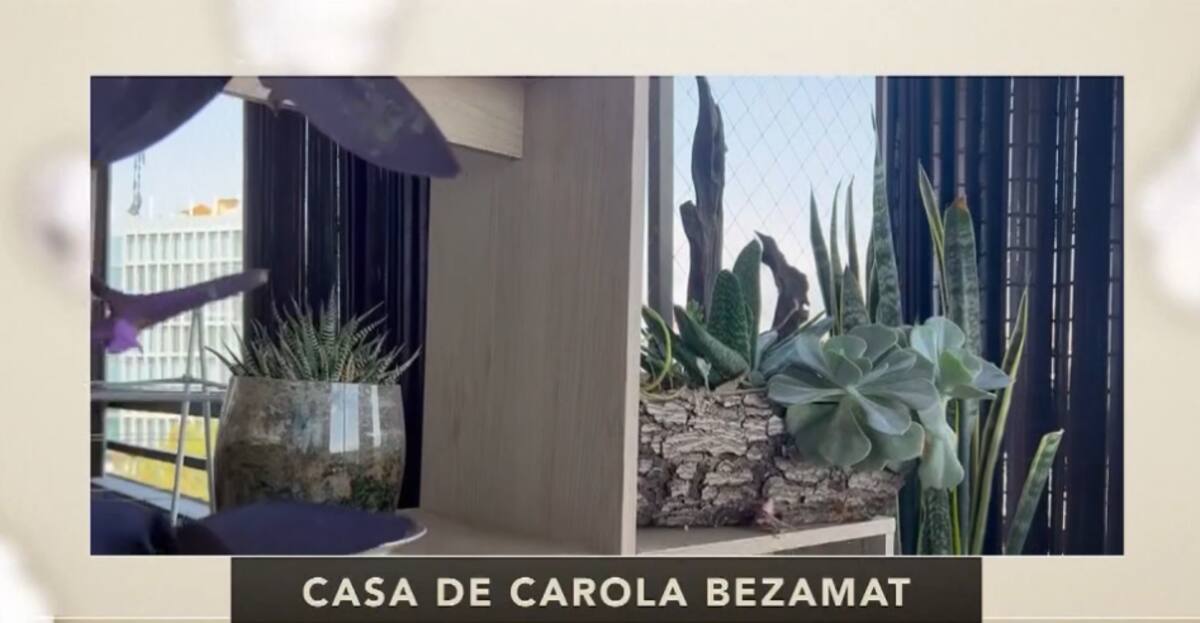 El rincón verde de su casa / CHV
