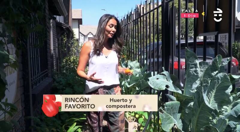 Su rincón favorito de Rumbo Verde / CHV