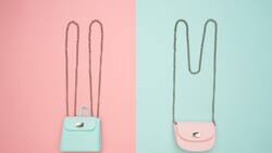 Si quieres alejar la pobreza, nunca uses un bolso o cartera de este color