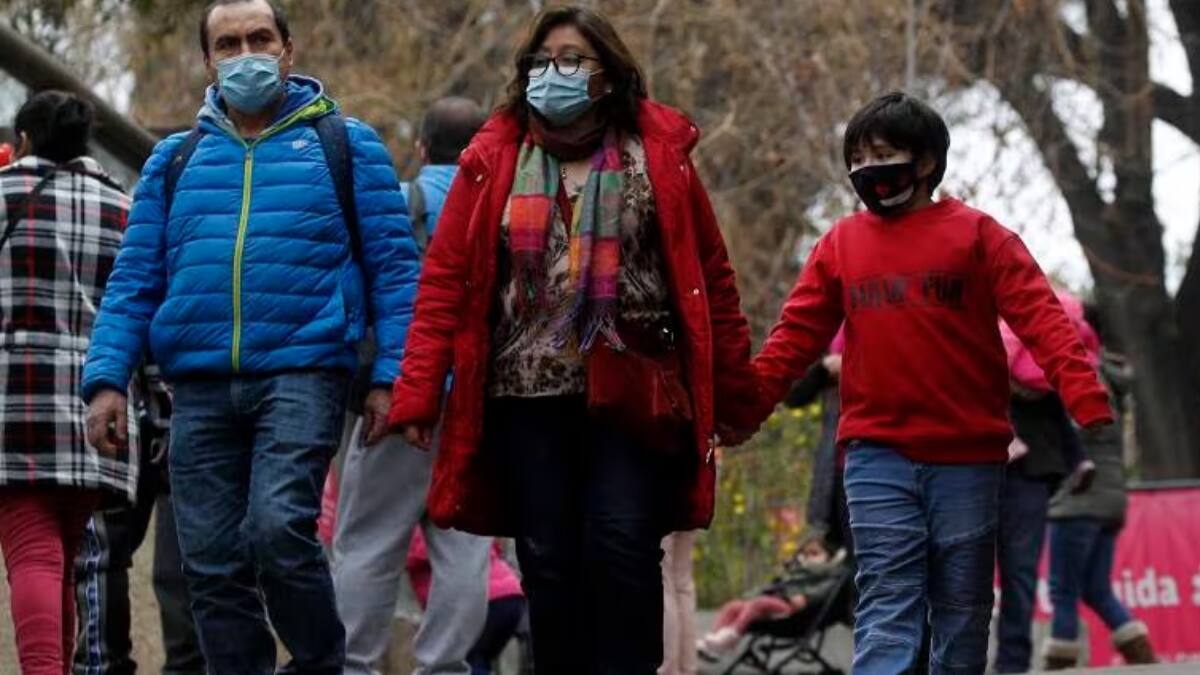 Así de fácil puedes descargar tu cartola del Registro Social de Hogares
