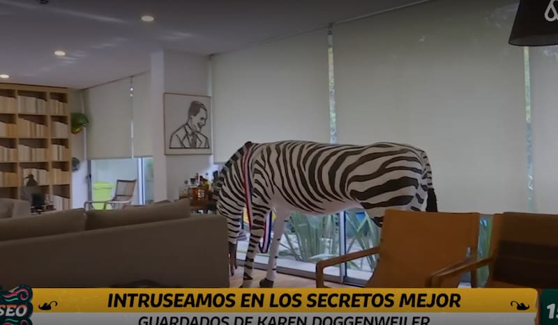 Casa de Karen Doggenweiler tiene una cebra en tamaño real.