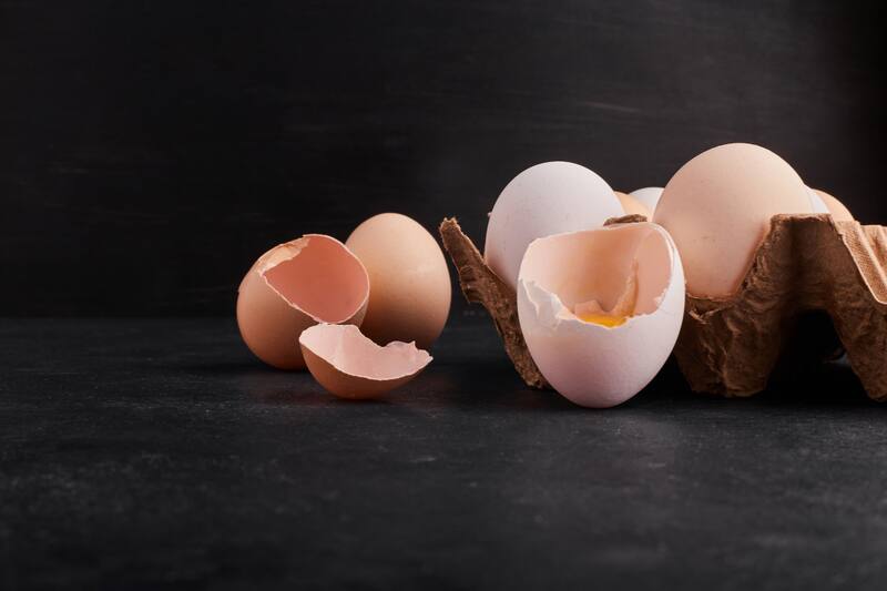 Al ser ricas en calcios y otros minerales, puedes utilzarlas para fertilizar y darle una nueva vida a tus plantas. Créditos: Freepik.