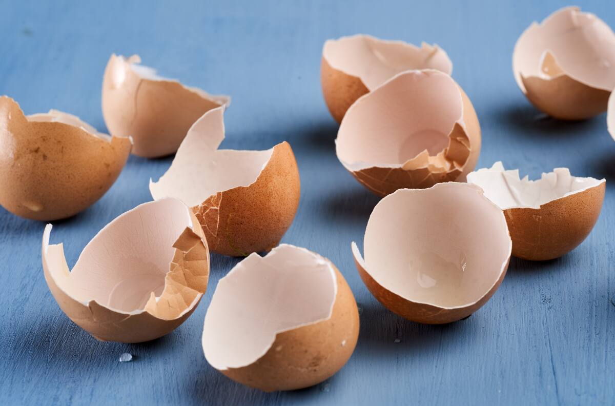 No las tires a la basura: Estos son los 10 trucos caseros que puedes hacer con las cáscaras de huevo