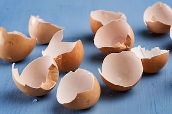 No las tires a la basura: Estos son los 10 trucos caseros que puedes hacer con las cáscaras de huevo