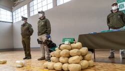 Operación Leyenda: Realizan el decomiso de droga más grande en la historia del Biobío con 250 kilos