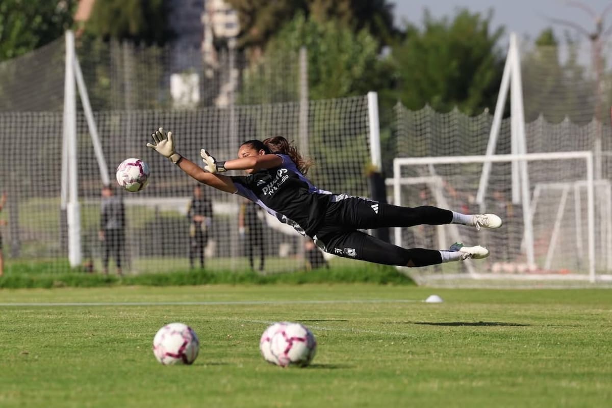 La portera no seguirá en Colo Colo para 2026. Foto: Instagram Catalina Mellado.